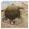 Image sur Puzzle Le cycle de la vie de la tortue